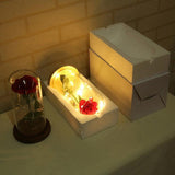 LED rose lamp in glass dome – atmospheric decoration with warm light