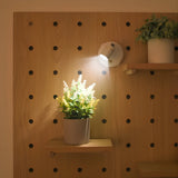 Atmospheric plant lamp – Decorative accent lighting for indoor use