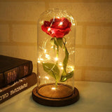 LED rose lamp in glass dome – atmospheric decoration with warm light
