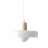 Moderne Loftlampe med Tidløst Design og Farvevalg