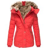 Ladies' winter jacket – Fitted parka with detachable hood