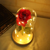 LED rose lamp in glass dome – atmospheric decoration with warm light